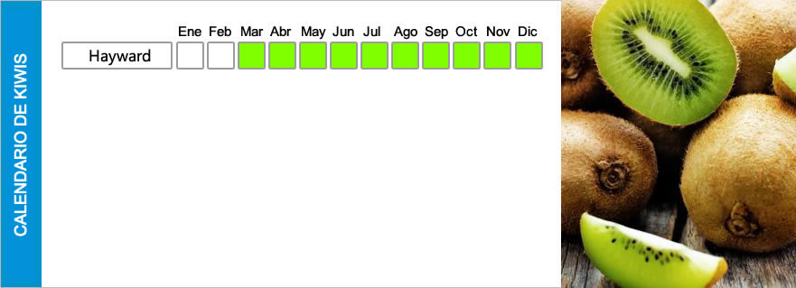 Kiwis - Morresi Fruit SRL